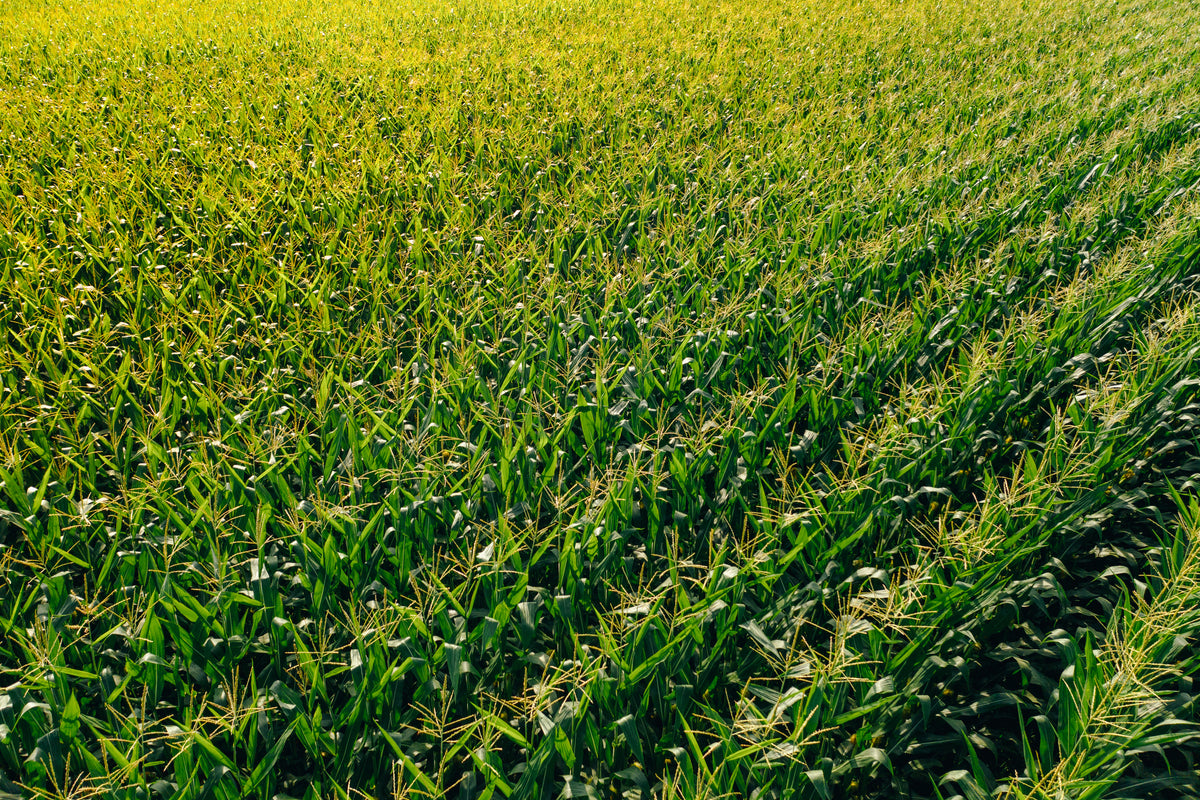 Your one stop shop for all the things you need for your AG needs. Water Storage Tanks, Sprayers, Fittings, Pumps
